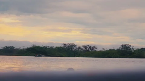 A small boat glides across a calm river surrounded by dense Amazon rainforest Video stock 345157917