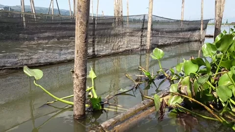 Small Boat Passing Traditional Fish Nets on Sumurup Lake Indonesia Stock Footage 340242545