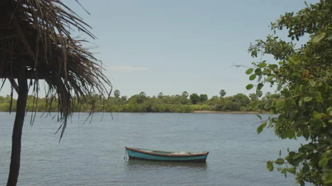 Small boat by the river Stock Footage 199716474