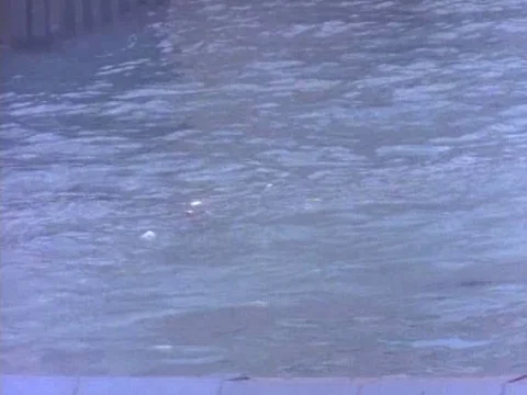 Small boat sailing in the river Stock Footage 79878877