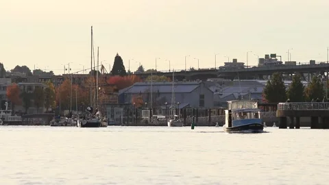 Small Boat Sails in Beautiful Fall Sunset Vancouver BC Video stock 142900101