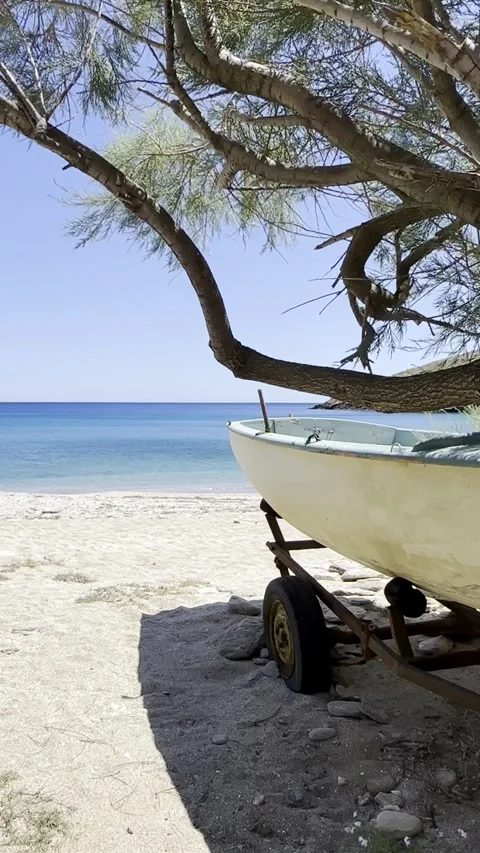 Small Boat on Sandy Beach Under Tree Branches Stock Footage 336965032