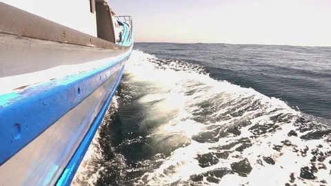 Small boat at the sea 库存影片 81408042