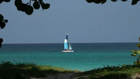 Small boat on the sea 動画素材 98307459