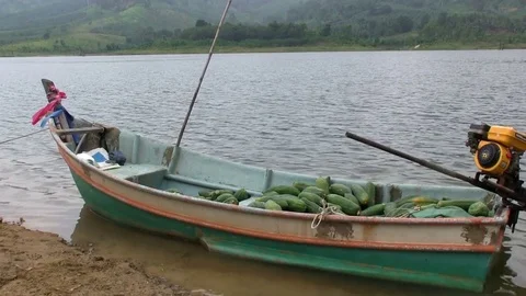 Small boat with tropical vegetables 動画素材 71086046