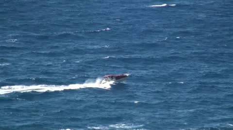 Small boat in the wild sea Видео 10838293