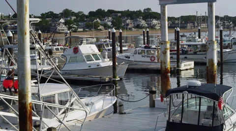 Small boats in Cape Cod harbor during the day Video stock 40669242