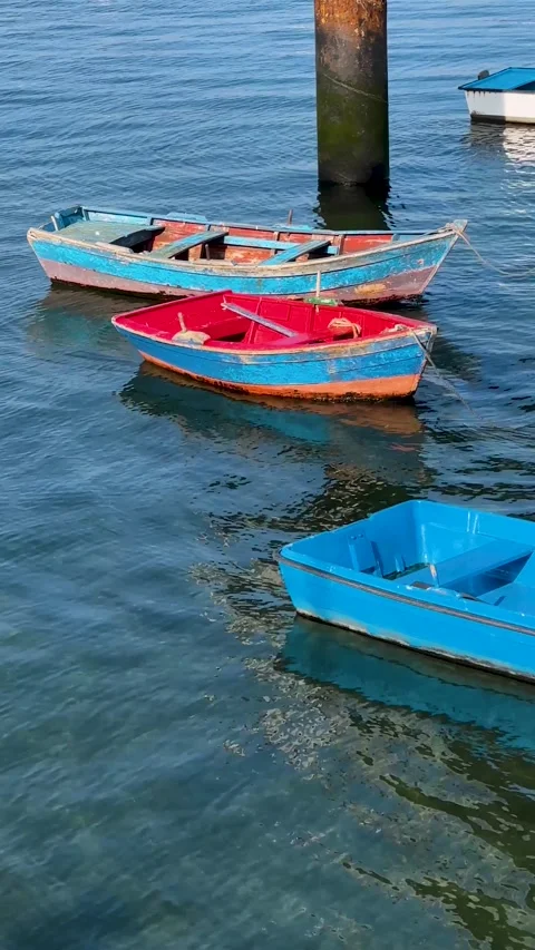 Small boats Stock Footage 263842863