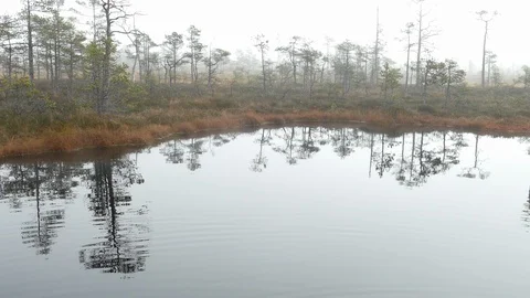 Small bog lake Stock-Footage 97358480