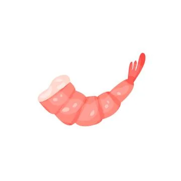 Small boiled shrimp without head. Cooked prawn with bright pink shell. Flat Stock Illustration