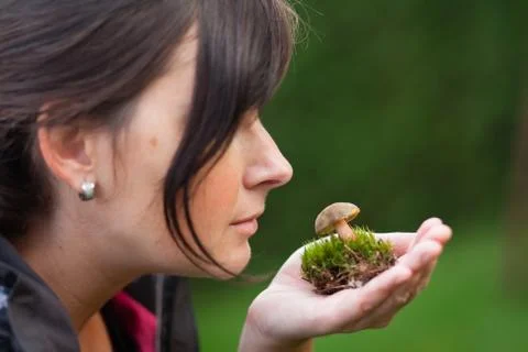 A small boletus in a clump of grass. Stock Photos