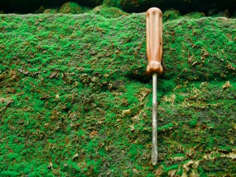 Small bolt Screw driver fixed on green natural brick wall surface for industr Stock Photos