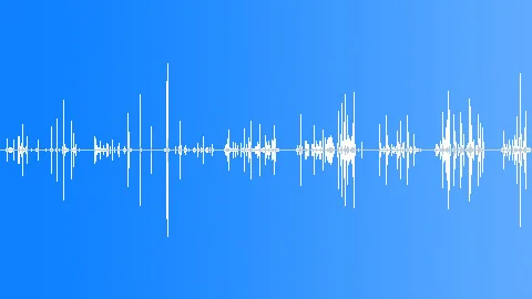 Small Bones And Shells: Rattling And Scraping Movement, Foley 3 ~ Clip ...