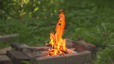 Small bonfire burning Stock Footage 55435021