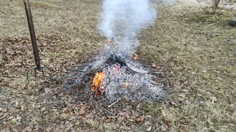 A small bonfire of dry branches and leaves 2 Stock-Footage 331636340