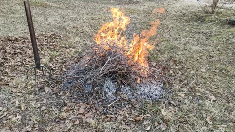 A small bonfire of dry branches and leaves 1 Stock Footage 331636443