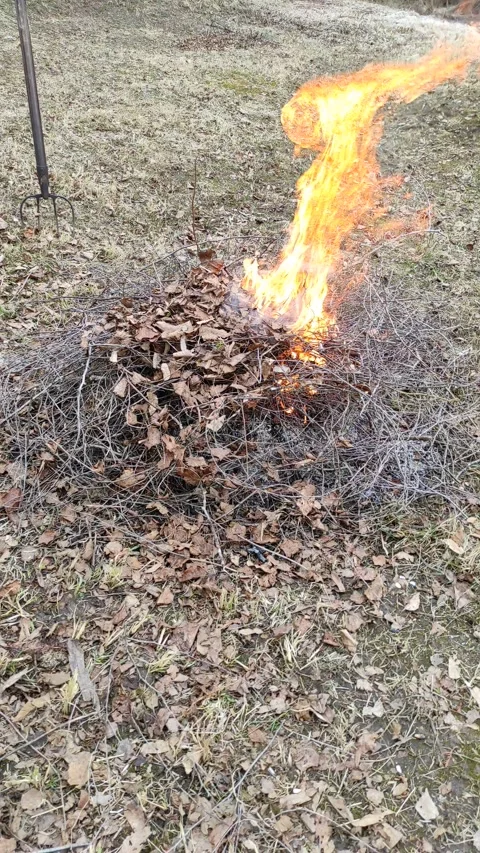 A small bonfire of dry branches and leaves 3 Stock Footage 331636686