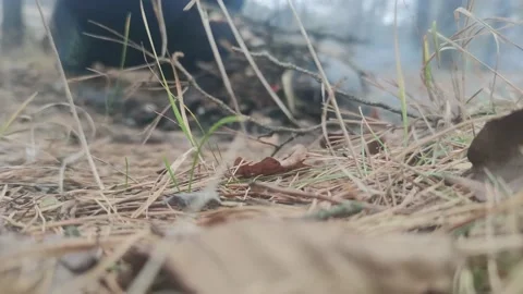 Small bonfire in the forest in autumn. Stock Footage 165588289