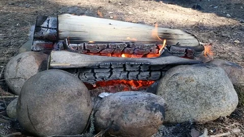 Small bonfire in a forest Stock Footage 70992202