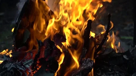 Small bonfire of paper and twigs Stock Footage 99314616