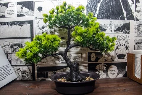 Small Bonsai Tree 스톡 사진