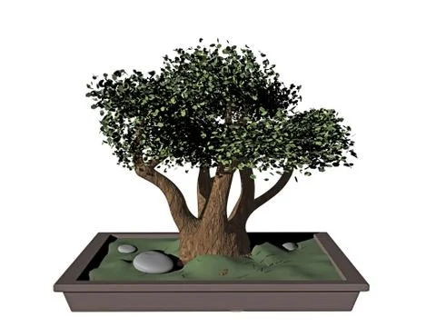 Small bonsai tree in a square planter Stock Illustration