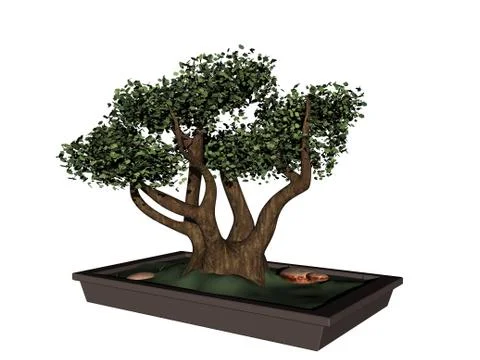 Small bonsai tree in a square planter Stock Illustration