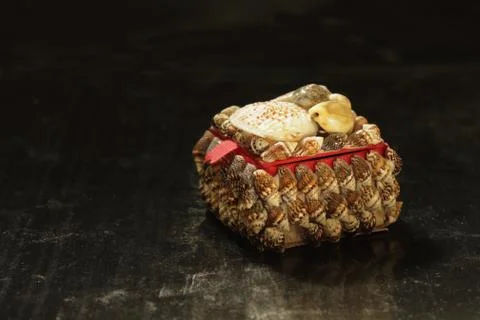 Small box covered with shells on a black background Stock Photos