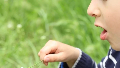 Small boy blowing bubbles. Happy child blowing soap bubbles in spring park. Video stock 107251049