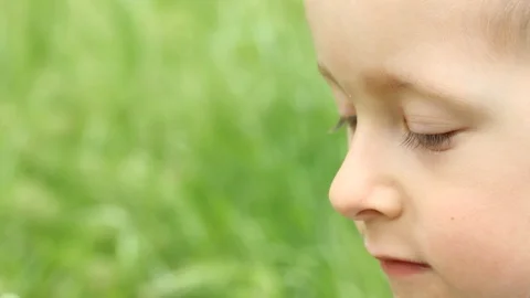 Small boy blowing bubbles. Happy child blowing soap bubbles in spring park. Stock Footage 107251050