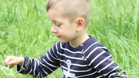 Small boy blowing bubbles. Happy child blowing soap bubbles in spring park. Stock Footage 107251199