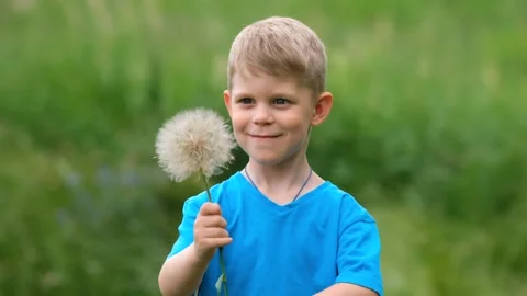 A small boy blows on a large dandelion flower while playing in a clearing Stock Footage 134653908