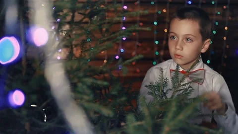 A small boy decorates a Christmas tree Stock Footage 81159814