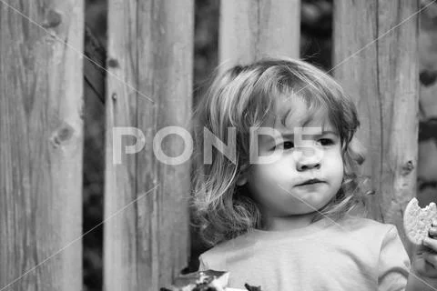 Small boy eating pie near wooden fence Stock Photos
