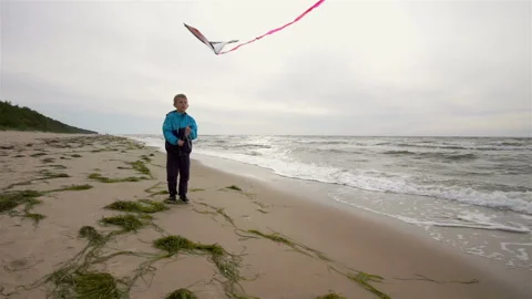 A small boy is flying kites over the sea. It is cold and windy summer. The boy i Stock Footage 87999070