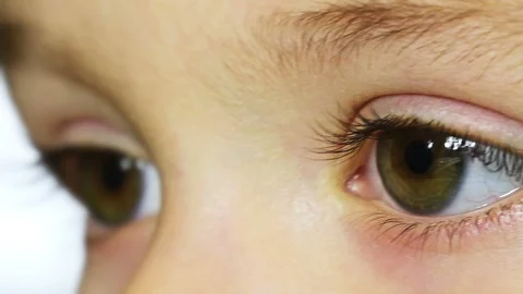 Small boy Stock Footage 100467952