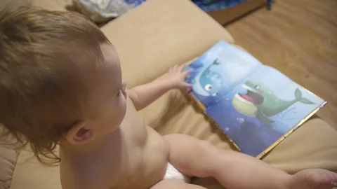 A small boy reads a book sitting on the sofa Stock Footage 127194635