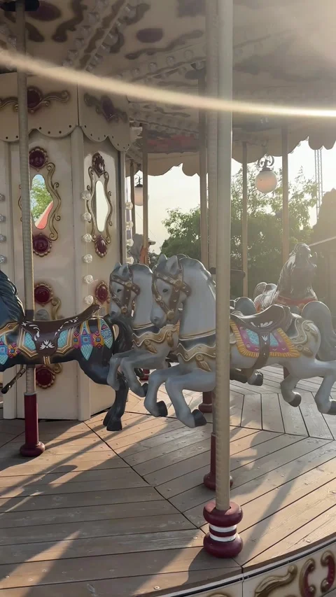 Small boy riding merry-go-round horse in the public park Stock-Footage 255800403
