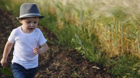 Small boy runs along black ground road near wheat field Stock Footage 112338016