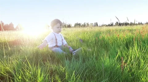 Small boy sits on the field and is playing with the grass. Stock Footage 63119746
