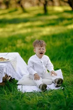 A small boy is sitting on a blanket in the grass and crying softly Stock Photos