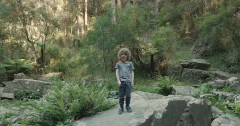 Small boy standing on a rock in the forest Video stock 132465225