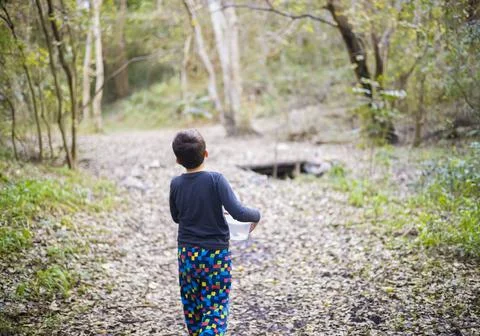 A small boy walking in a magical forest at fall, leaves all around Stock Photos