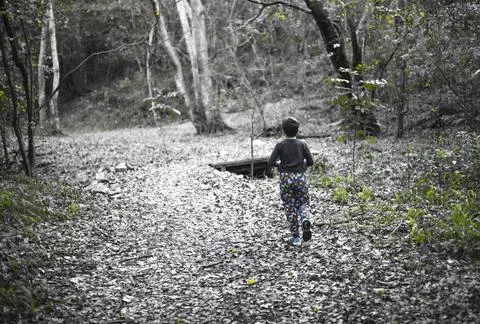 A small boy walking in a magical forest at fall, leaves all around Stock Photos