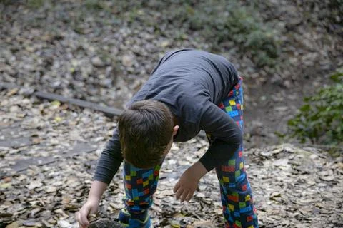 A small boy walking in a magical forest looking for bugs among the leaf litter Stock Photos