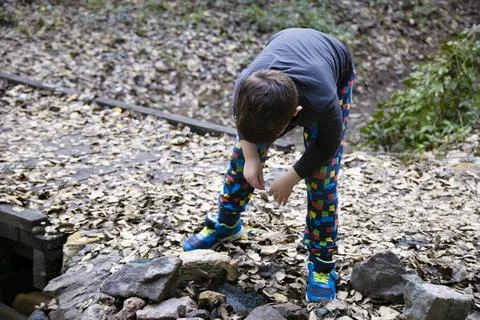 A small boy walking in a magical forest at fall looking for bugs Stock Photos