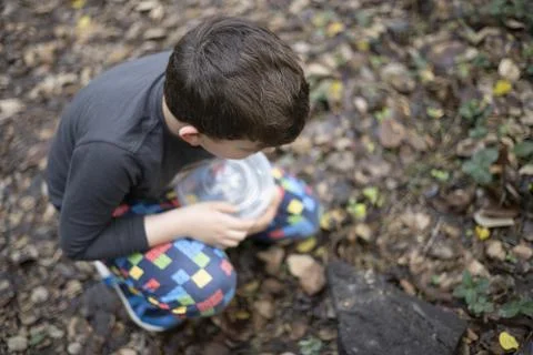 A small boy walking in a magical forest at fall, looking for bugs Stock Photos