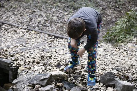 A small boy walking in a magical forest at fall, leaves all around Stock Photos