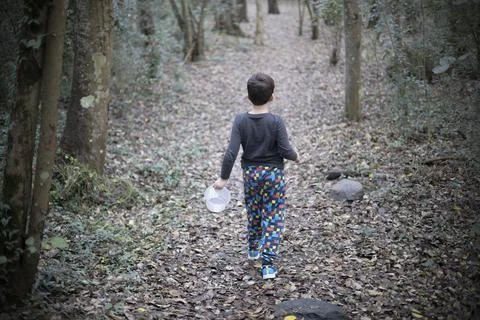 A small boy walking in a magical forest at fall, leaves all around Stock Photos