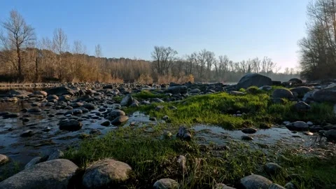 Small branch of the Ticino river Stock Footage 275815875